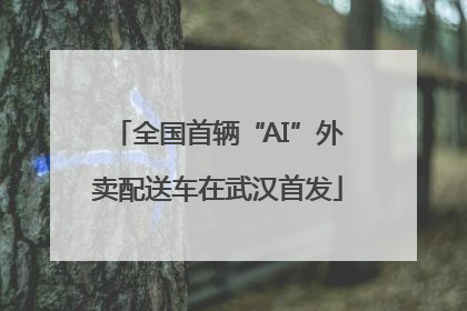 全国首辆“AI”外卖配送车在武汉首发