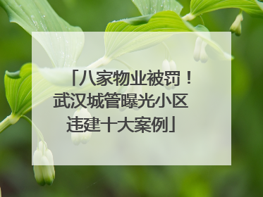 八家物业被罚！武汉城管曝光小区违建十大案例