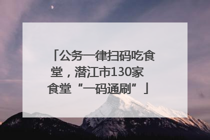 公务一律扫码吃食堂，潜江市130家食堂“一码通刷”