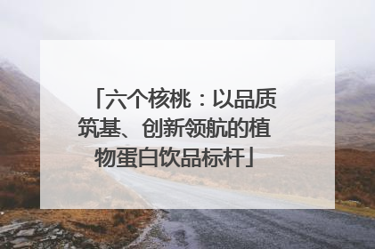 六个核桃：以品质筑基、创新领航的植物蛋白饮品标杆