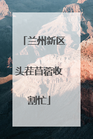 兰州新区头茬苜蓿收割忙