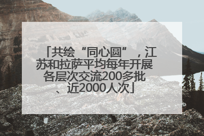 共绘“同心圆”，江苏和拉萨平均每年开展各层次交流200多批、近2000人次
