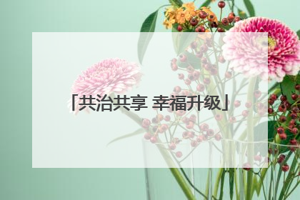 共治共享 幸福升级