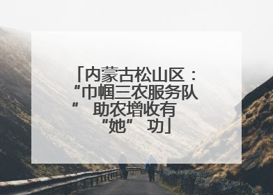 内蒙古松山区：“巾帼三农服务队” 助农增收有 “她” 功