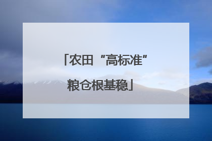 农田“高标准” 粮仓根基稳