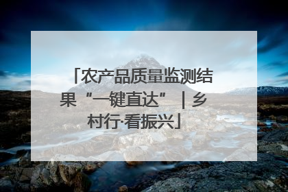 农产品质量监测结果“一键直达”｜乡村行·看振兴