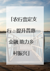 农行贵定支行：提升普惠金融 助力乡村振兴