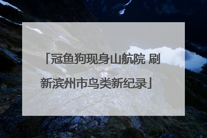 冠鱼狗现身山航院 刷新滨州市鸟类新纪录