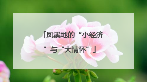 凤溪地的“小经济”与“大情怀”