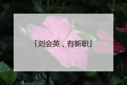 刘会英，有新职