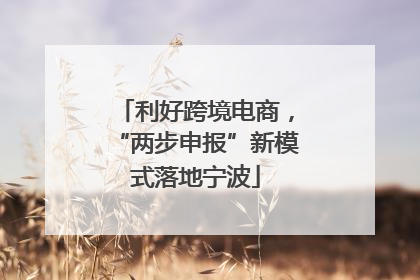 利好跨境电商，“两步申报”新模式落地宁波