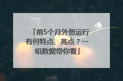 前5个月外贸运行有何特点、亮点？一组数据带你看