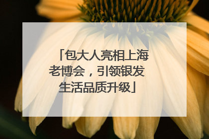包大人亮相上海老博会，引领银发生活品质升级