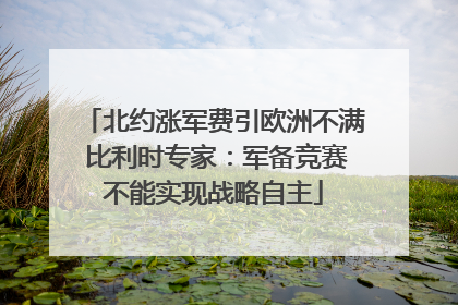 北约涨军费引欧洲不满 比利时专家：军备竞赛不能实现战略自主