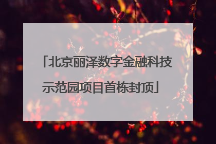 北京丽泽数字金融科技示范园项目首栋封顶