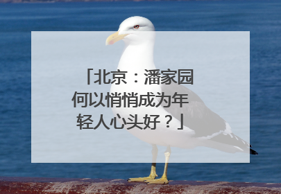 北京：潘家园何以悄悄成为年轻人心头好？