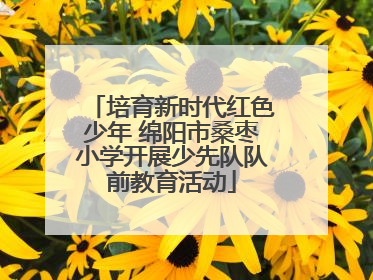 培育新时代红色少年 绵阳市桑枣小学开展少先队队前教育活动