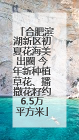 合肥滨湖新区初夏花海美出圈 今年新种植草花、播撒花籽约6.5万平方米