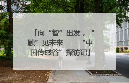 向“智”出发，“触”见未来——“中国传感谷”探访记