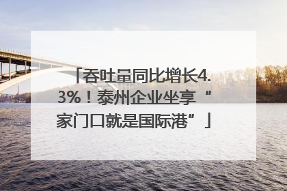 吞吐量同比增长4.3%！泰州企业坐享“家门口就是国际港”