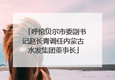 呼伦贝尔市委副书记赵长青调任内蒙古水发集团董事长