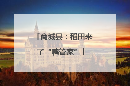 商城县：稻田来了“鸭管家”