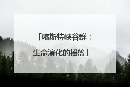 喀斯特峡谷群：生命演化的摇篮