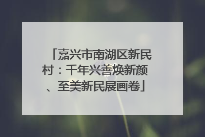 嘉兴市南湖区新民村：千年兴善焕新颜、至美新民展画卷