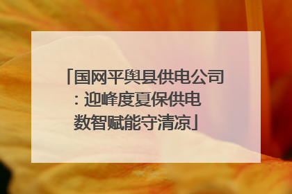 国网平舆县供电公司：迎峰度夏保供电  数智赋能守清凉