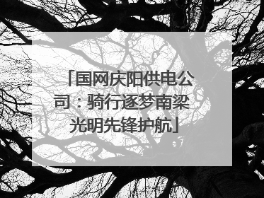 国网庆阳供电公司：骑行逐梦南梁 光明先锋护航
