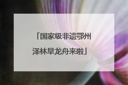 国家级非遗鄂州泽林旱龙舟来啦