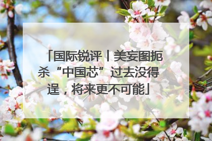国际锐评丨美妄图扼杀“中国芯”过去没得逞，将来更不可能