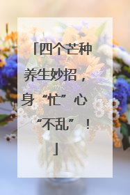 四个芒种养生妙招，身“忙”心“不乱”！