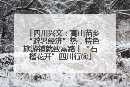 四川兴文：高山苗乡“避暑经济”热，特色旅游铺就致富路丨“石榴花开”四川行⑧