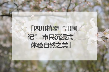 四川植物“出国记” 市民沉浸式体验自然之美
