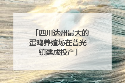 四川达州最大的蛋鸡养殖场在普光镇建成投产