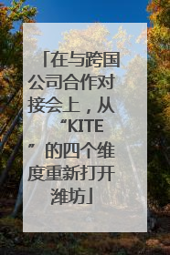 在与跨国公司合作对接会上，从“KITE”的四个维度重新打开潍坊
