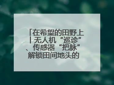 在希望的田野上丨无人机“巡诊”、传感器“把脉” 解锁田间地头的丰收密码
