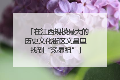 在江西规模最大的历史文化街区文昌里找到“汤显祖”