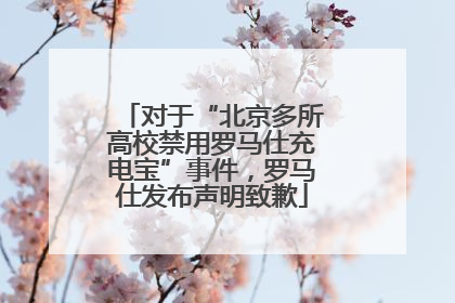 对于“北京多所高校禁用罗马仕充电宝”事件，罗马仕发布声明致歉