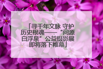 寻千年文脉 守护历史根魂——“问源白浮泉”公益摄影展即将落下帷幕