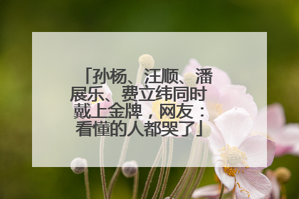 孙杨、汪顺、潘展乐、费立纬同时戴上金牌，网友：看懂的人都哭了