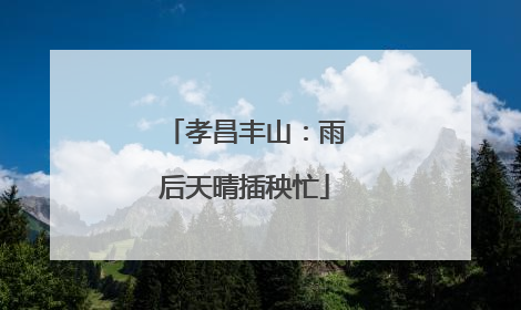 孝昌丰山：雨后天晴插秧忙
