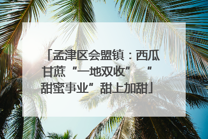 孟津区会盟镇：西瓜甘蔗“一地双收” “甜蜜事业”甜上加甜