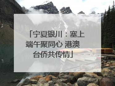宁夏银川：塞上端午聚同心 港澳台侨共传情
