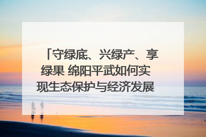 守绿底、兴绿产、享绿果 绵阳平武如何实现生态保护与经济发展双赢？｜新闻发布最前线·深一度