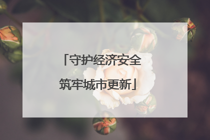 守护经济安全 筑牢城市更新
