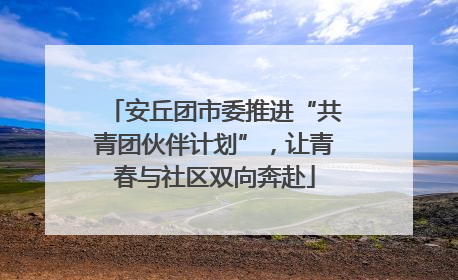 安丘团市委推进“共青团伙伴计划”，让青春与社区双向奔赴