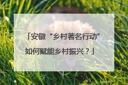 安徽“乡村著名行动”如何赋能乡村振兴？