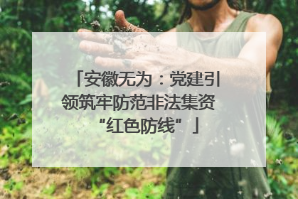 安徽无为：党建引领筑牢防范非法集资“红色防线”
